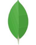MongoDB